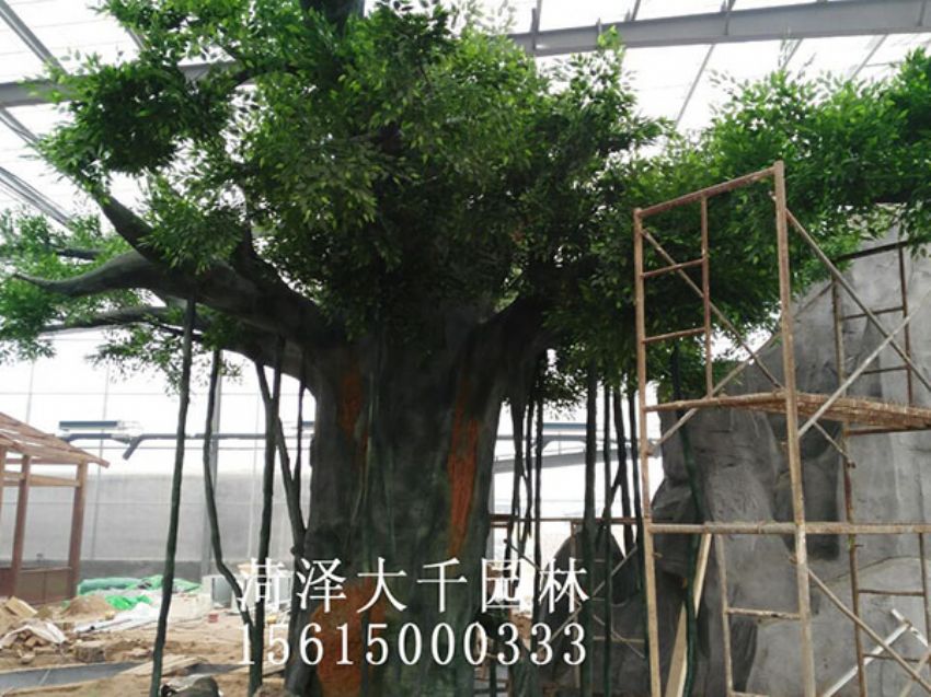 點擊查看詳細信息<br>標題：假樹 閱讀次數：1411