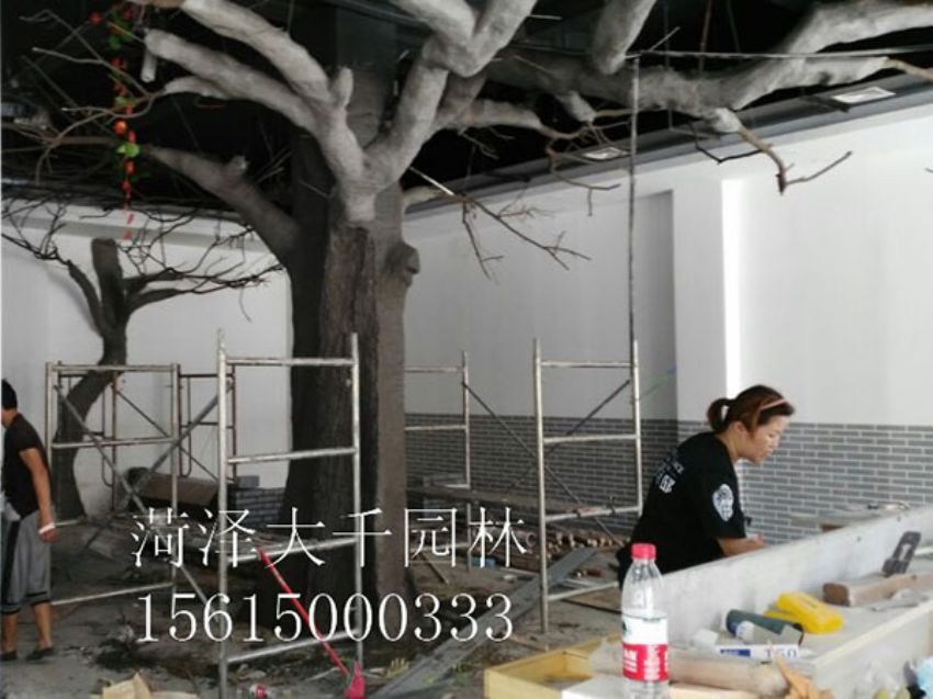 點擊查看詳細信息<br>標題：假樹 閱讀次數：1345