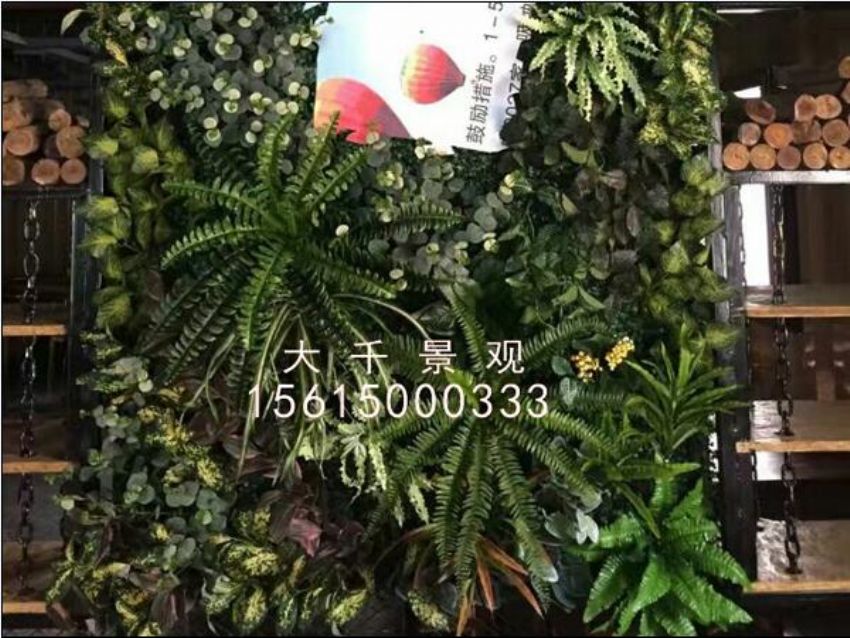 點擊查看詳細信息<br>標題：綠植墻 閱讀次數：1373