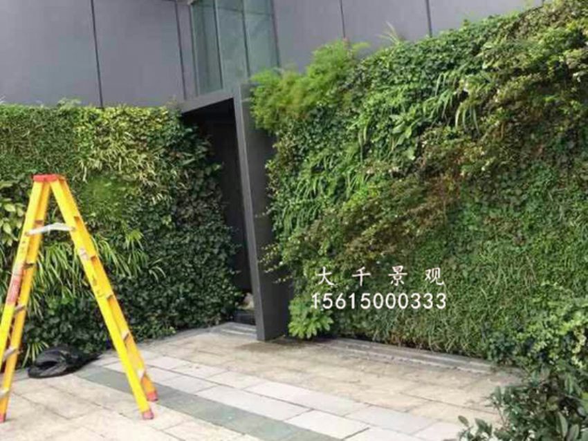點擊查看詳細信息<br>標題：綠植墻 閱讀次數：1502