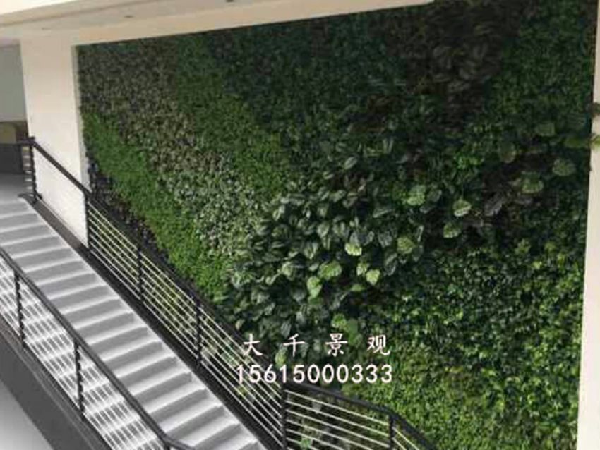 點擊查看詳細信息<br>標題：綠植墻 閱讀次數：1653