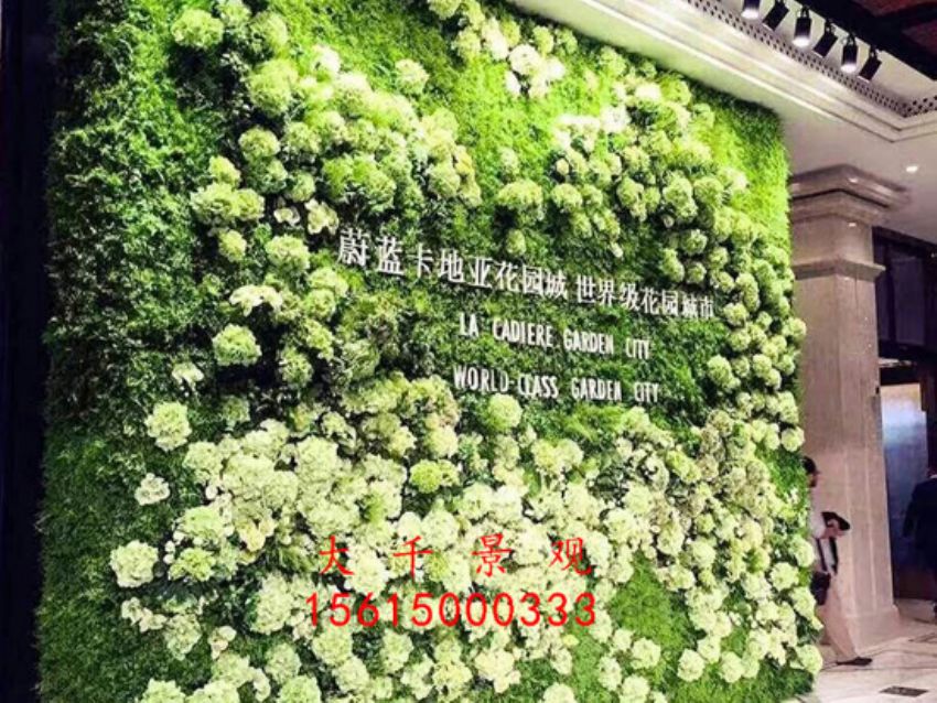 點擊查看詳細信息<br>標題：綠植墻 閱讀次數：2017