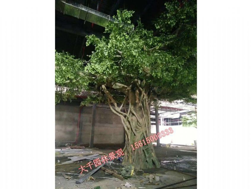 點(diǎn)擊查看詳細(xì)信息<br>標(biāo)題：假樹 閱讀次數(shù)：2407